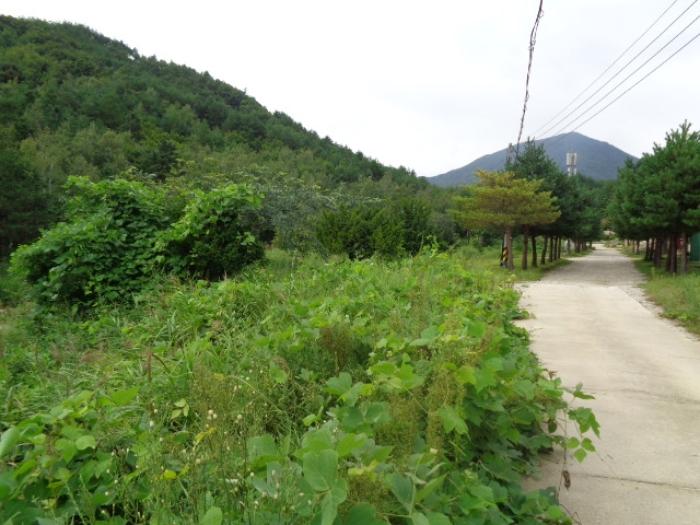 법원경매 2024타경1212 사진39 | 고성군 죽왕면 야촌리 1024-29 주택건물 경매