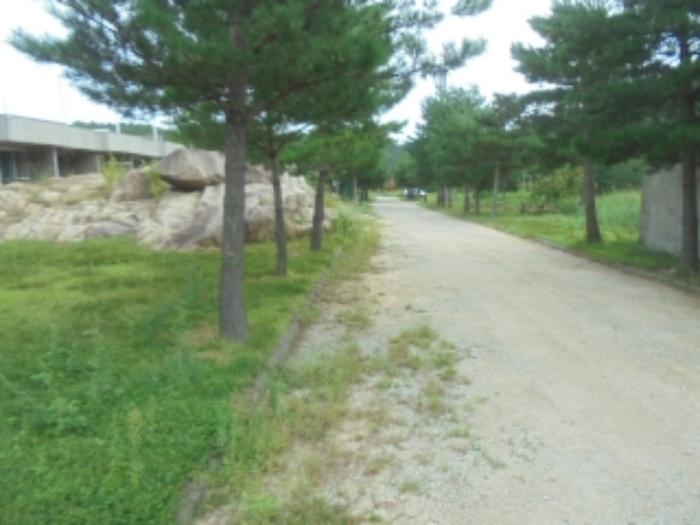 법원경매 2024타경1212 사진48 | 고성군 죽왕면 야촌리 1024-29 주택건물 경매