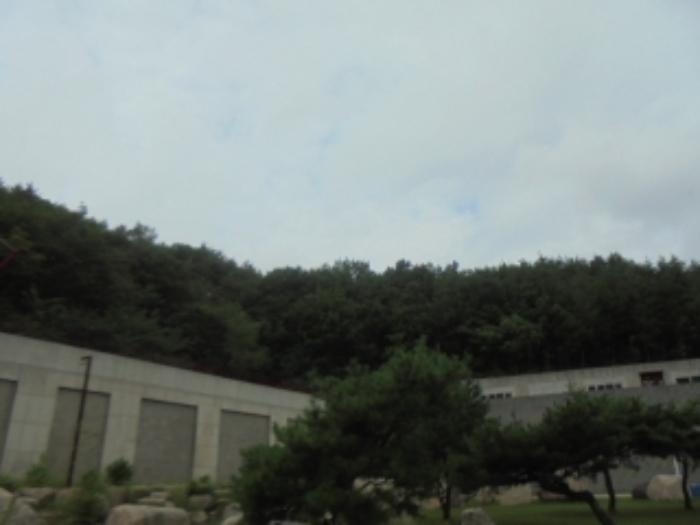 법원경매 2024타경1212 사진52 | 고성군 죽왕면 야촌리 1024-29 주택건물 경매