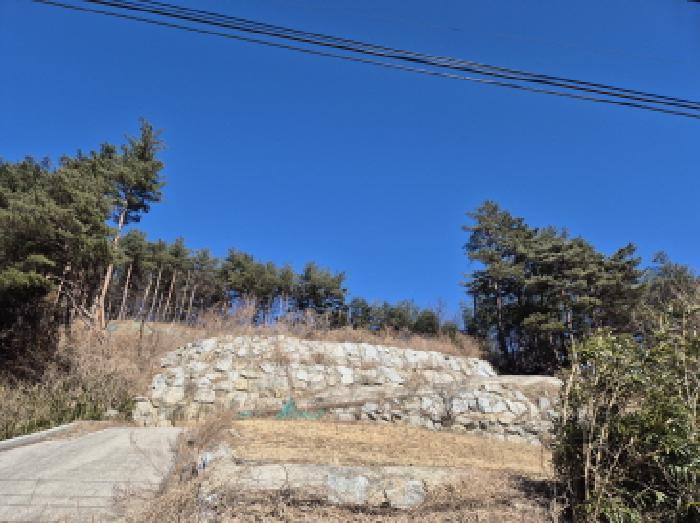 법원경매 2025타경193 사진7 | 양양군 현남면 정자리 임야 경매