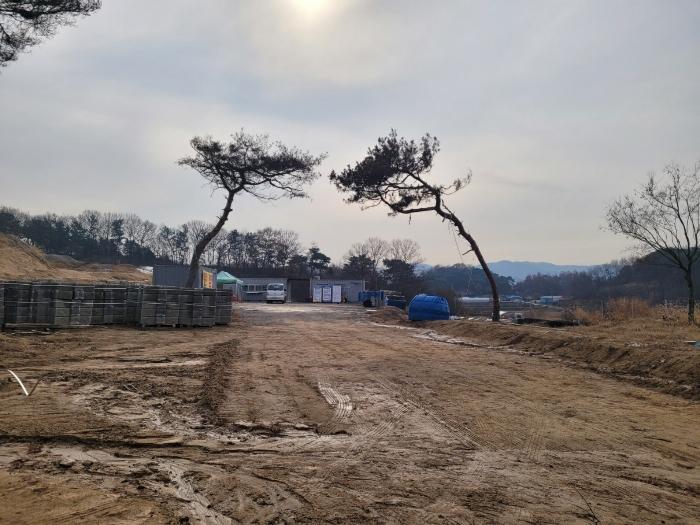 법원경매 2024타경122350 사진2 | 세종 장군면 봉안리 임야 경매