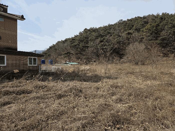 법원경매 2025타경564 사진12 | 대구 동구 도학동 379 답 경매