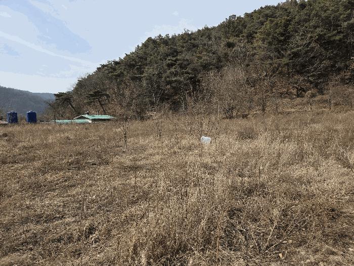법원경매 2025타경564 사진14 | 대구 동구 도학동 379 답 경매