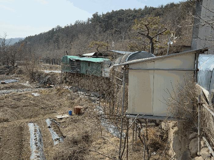 법원경매 2025타경564 사진20 | 대구 동구 도학동 379 답 경매