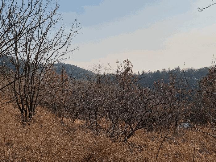 경상북도 영천시 대창면 용전리 산13-1 법원경매 물건 대표사진