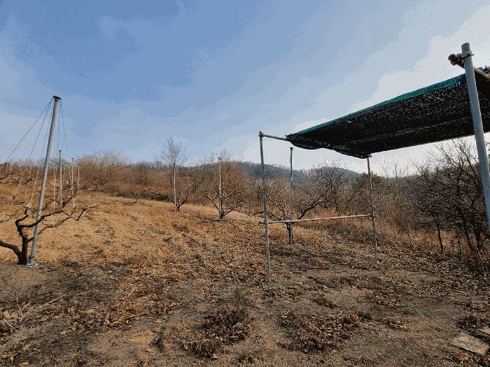 법원경매 2025타경6462 사진4 | 영천시 대창면 용전리 임야 경매