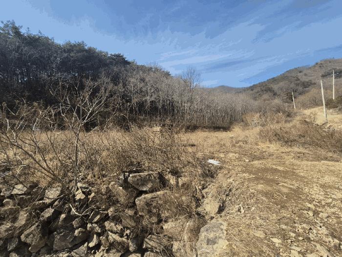 법원경매 2025타경7253 사진2 | 영천시 화남면 용계리 424 답 경매