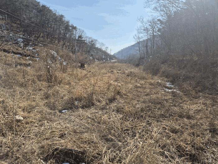 법원경매 2025타경7253 사진5 | 영천시 화남면 용계리 424 답 경매