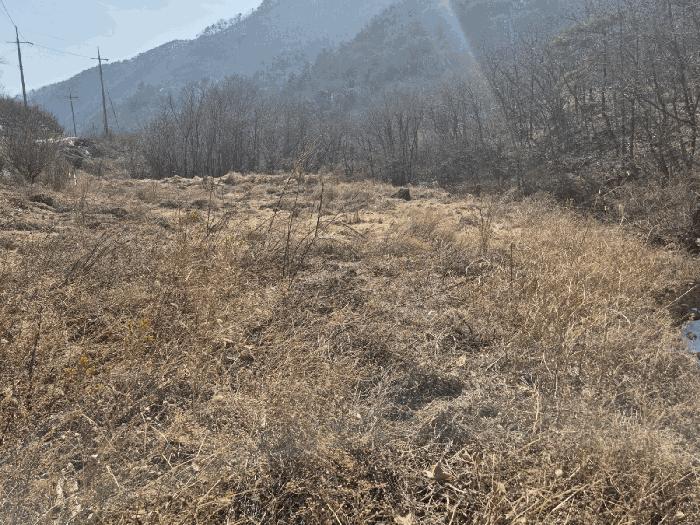 경상북도 영천시 화남면 용계리 426 법원경매 물건 대표사진