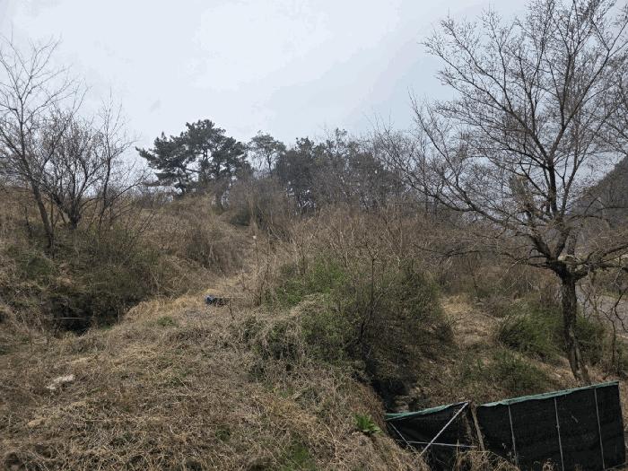 법원경매 2025타경7610 사진2 | 대구 동구 상매동 208-4 과수원 경매