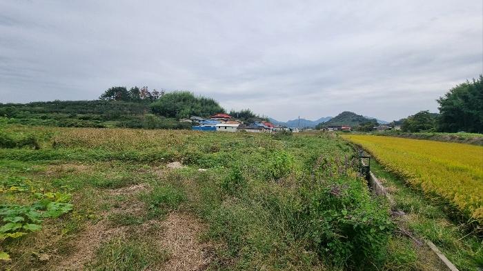 2024타경2209 법원경매 사진2 | 경남 함안군 답 경매