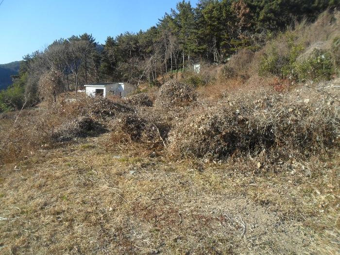 경상남도 창원시 마산합포구 진전면 시락리 254 법원경매 물건 대표사진