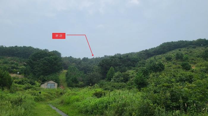 2024타경549377 법원경매 사진3 | 인천 옹진군 임야 경매