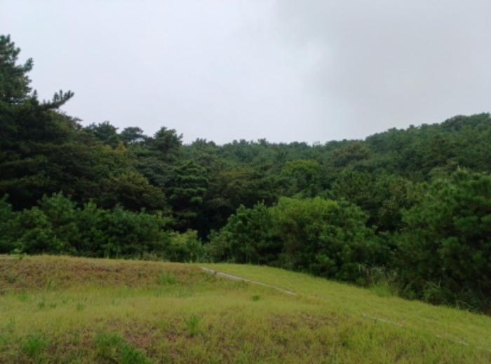 2024타경549377 법원경매 사진5 | 인천 옹진군 임야 경매