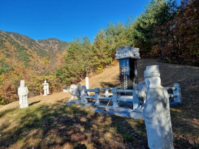 법원경매 2024타경1759 사진5 | 강릉시 왕산면 고단리 임야 경매
