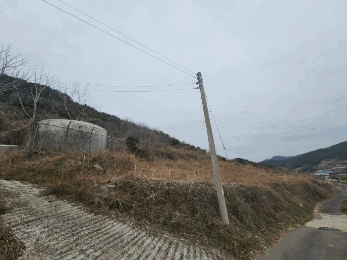 전라남도 여수시 화양면 서촌리 1099 법원경매 물건 대표사진