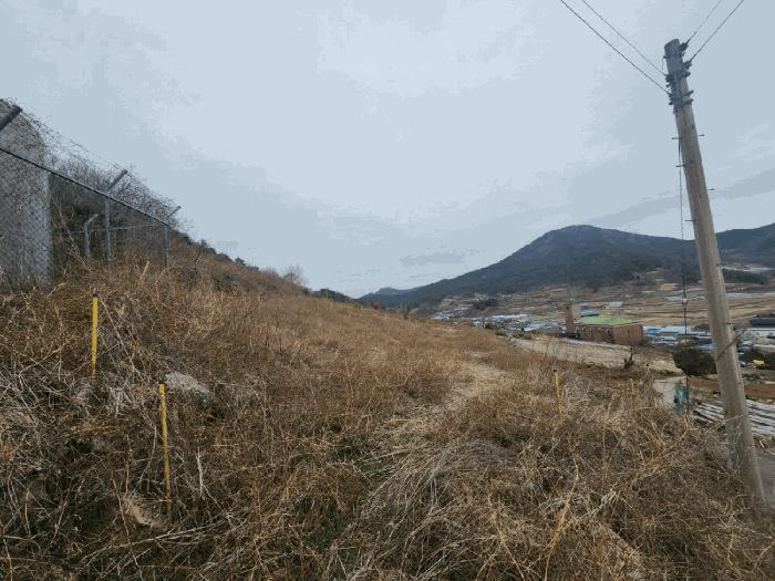 2025타경370 법원경매 사진3 | 전남 여수시 전 경매