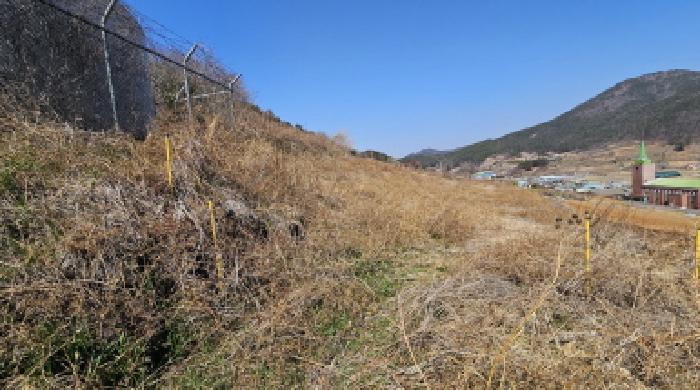2025타경370 법원경매 사진6 | 전남 여수시 전 경매