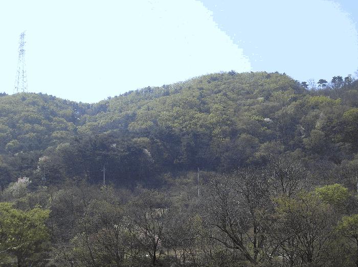 전라남도 광양시 봉강면 조령리 산54-1 법원경매 물건 대표사진