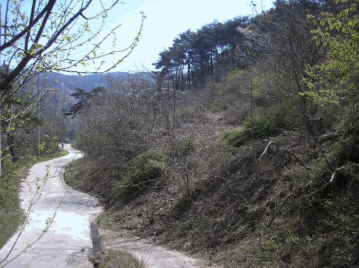 2025타경406 법원경매 사진13 | 전남 광양시 임야 경매