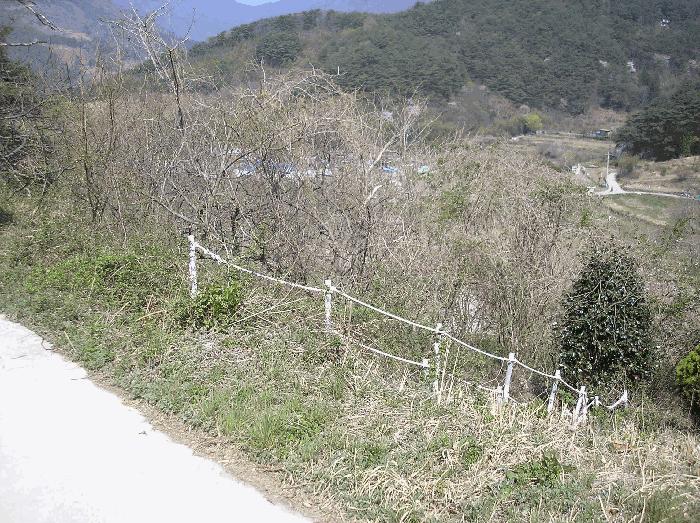 2025타경406 법원경매 사진18 | 전남 광양시 임야 경매