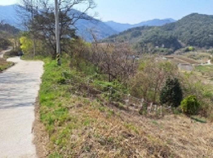 2025타경406 법원경매 사진25 | 전남 광양시 임야 경매