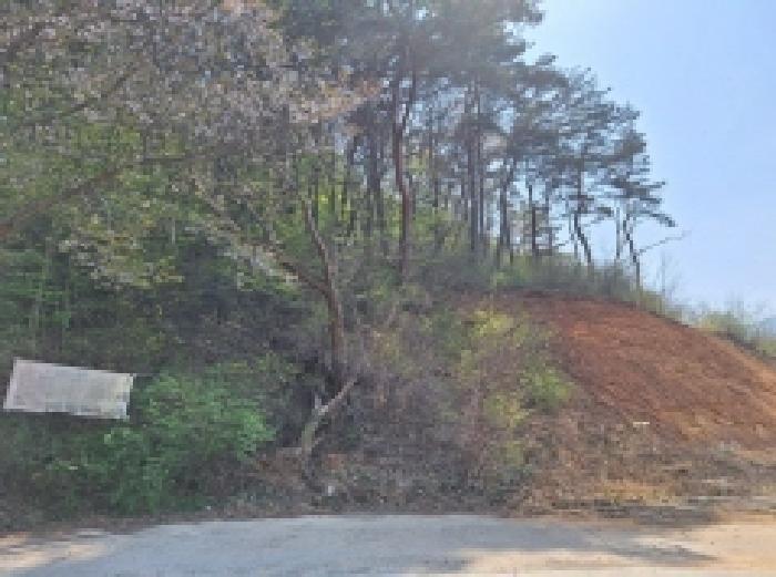 2025타경406 법원경매 사진30 | 전남 광양시 임야 경매