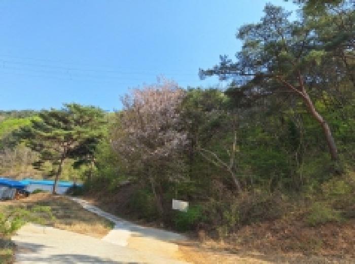 2025타경406 법원경매 사진34 | 전남 광양시 임야 경매