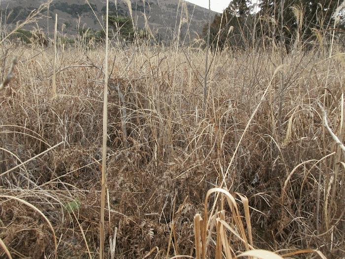 2025타경51126 법원경매 사진3 | 전남 고흥군 임야 경매