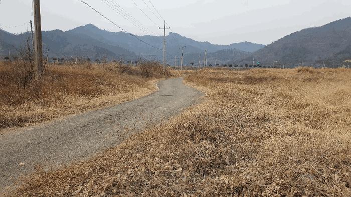 2025타경50039 법원경매 사진2 | 전남 고흥군 대지,임야,전답 경매