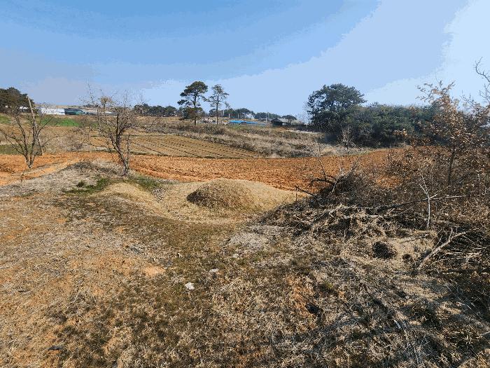 전북특별자치도 정읍시 이평면 마항리 387-5 법원경매 물건 대표사진