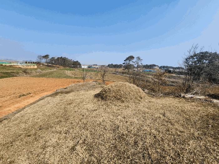 2025타경184 법원경매 사진4 | 전북 정읍시 전 경매