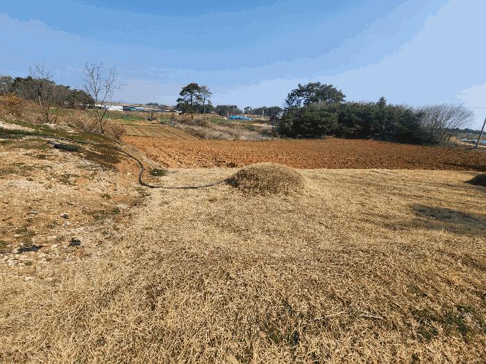 2025타경184 법원경매 사진6 | 전북 정읍시 전 경매