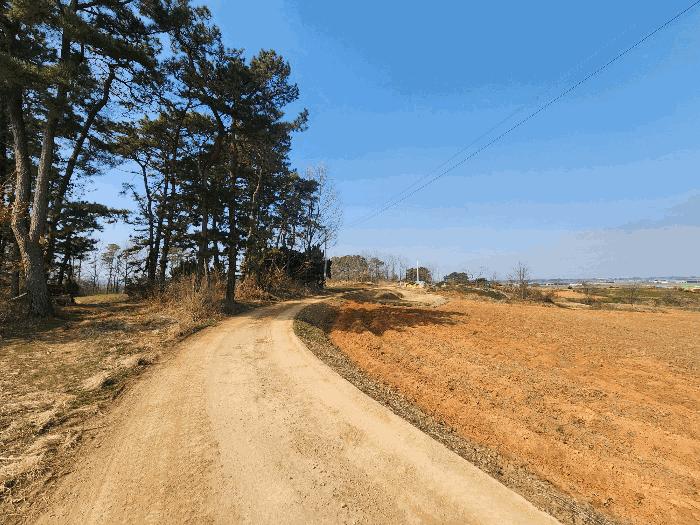 2025타경184 법원경매 사진9 | 전북 정읍시 전 경매