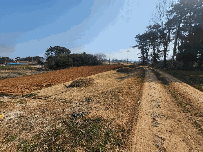 2025타경184 법원경매 사진2 | 전북 정읍시 임야 경매