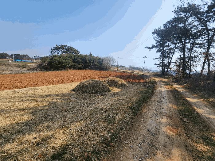 2025타경184 법원경매 사진7 | 전북 정읍시 임야 경매