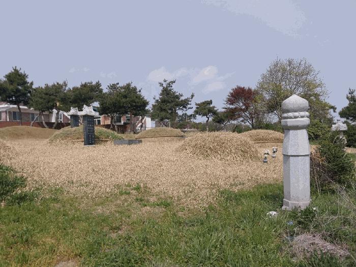 2025타경30229 법원경매 사진3 | 전북 고창군 전 경매