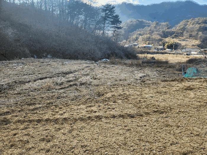 2025타경396 법원경매 사진2 | 충남 금산군 임야 경매