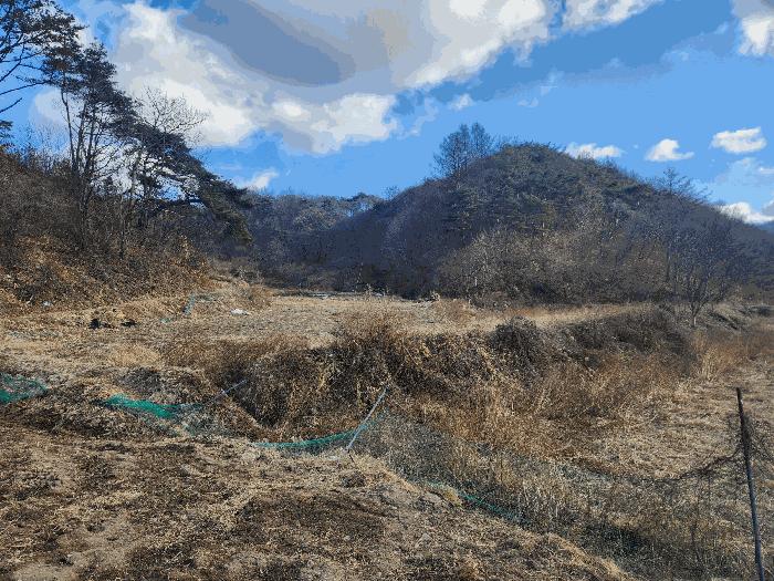 2025타경396 법원경매 사진3 | 충남 금산군 임야 경매