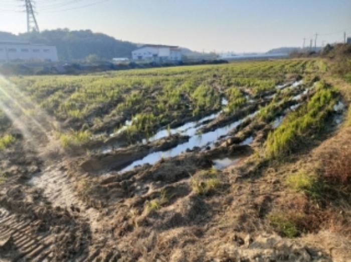 2024타경60006 법원경매 사진7 | 충남 당진시 답 경매