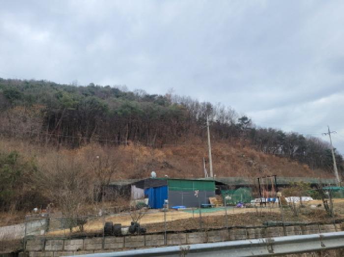 법원경매 2024타경45238 사진3 | 성주군 선남면 신부리 임야 경매