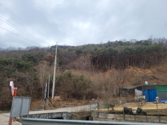 법원경매 2024타경45238 사진4 | 성주군 선남면 신부리 임야 경매