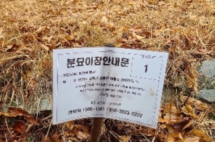 2024타경506004 법원경매 사진14 | 인천 강화군 임야 경매