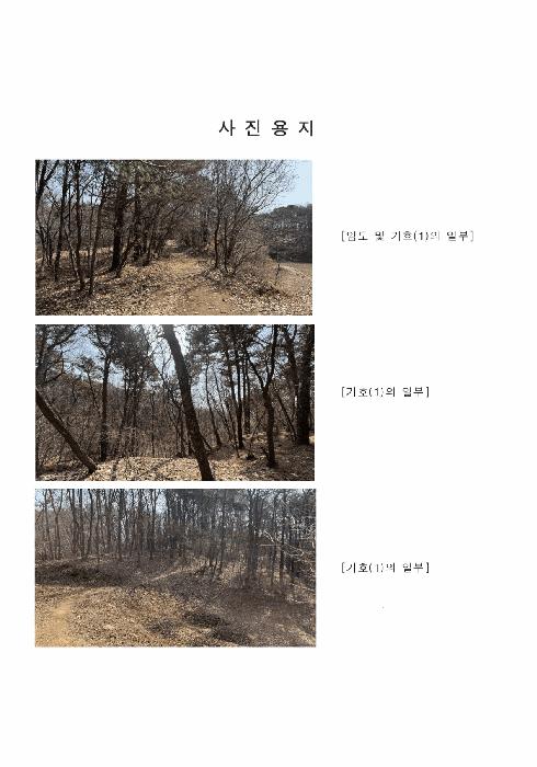 법원경매 2025타경62418 사진3 | 파주시 문산읍 당동리 임야 경매