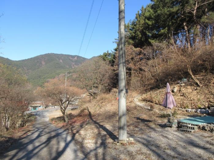 법원경매 2024타경4664 사진3 | 대구 달성군 유가읍 임야 경매