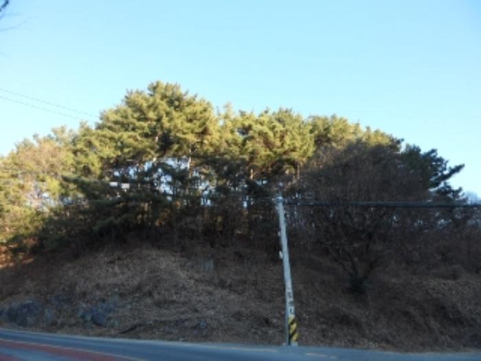 법원경매 2024타경4664 사진7 | 대구 달성군 유가읍 임야 경매