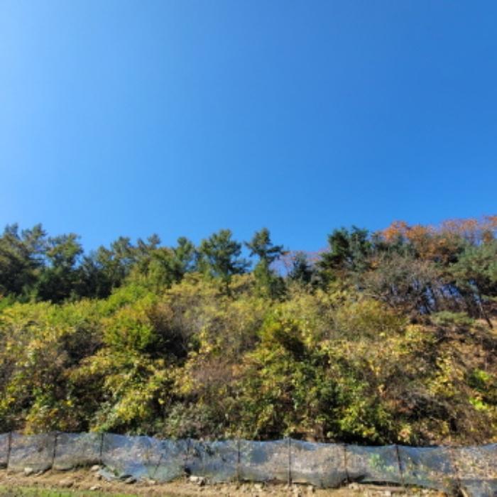법원경매 2024타경84041 사진11 | 파주시 광탄면 발랑리 임야 경매