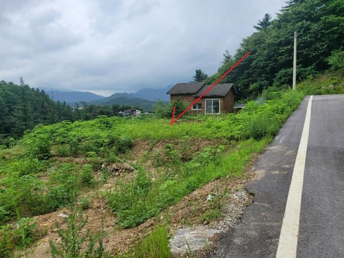 법원경매 2024타경3524 사진2 | 남양주시 수동면 지둔리 32-3 임야 경매