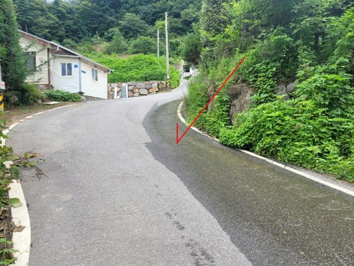 법원경매 2024타경3524 사진8 | 남양주시 수동면 지둔리 32-3 임야 경매