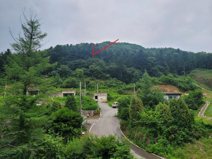 법원경매 2024타경3524 사진7 | 남양주시 수동면 지둔리 32-10 임야 경매